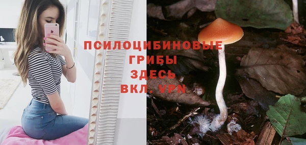 прущие крисы Балабаново