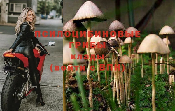 прущие крисы Балабаново