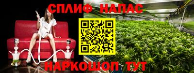 прущие крисы Кулебаки
