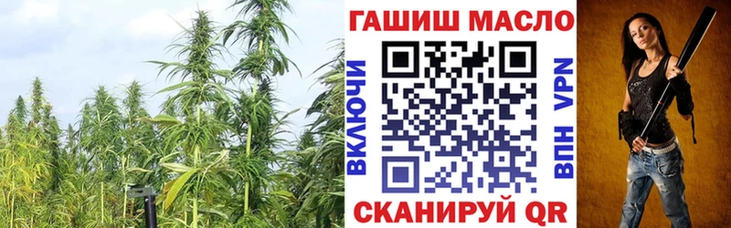 Дистиллят ТГК THC oil  купить наркоту  Ессентуки 