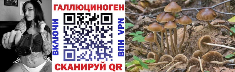 где купить наркоту Ессентуки Псилоцибиновые грибы прущие грибы