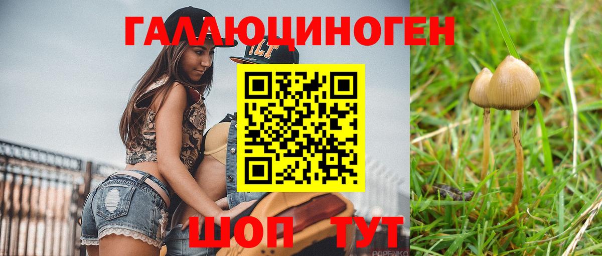 Галлюциногенные грибы мухоморы Ессентуки