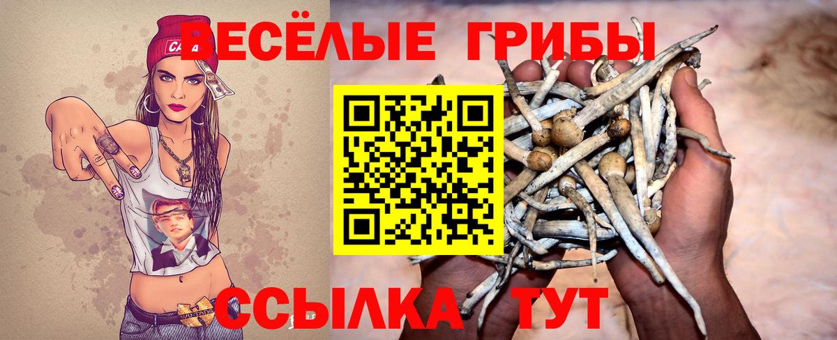 магазин продажи   Галлюциногенные грибы Magic Shrooms  Вход с VPN  Ессентуки  Галлюциногенные грибы Psilocybe 